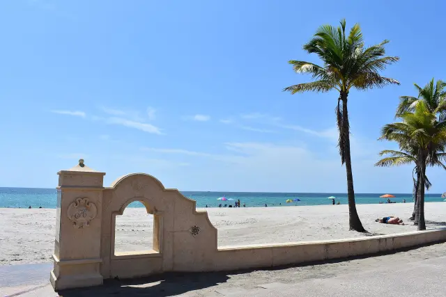 Hollywood Beach and palm trees in Hollywood, Broward County, Florida